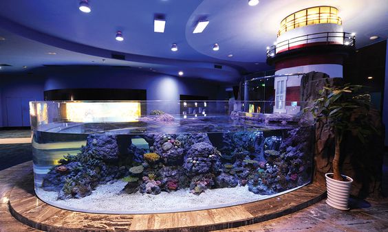 Quais são as vantagens dos tanques de peixes de plexiglass?