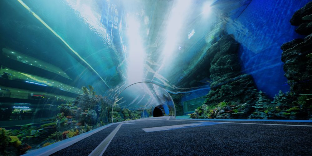 ACRYLICS REVAM OCEANARIUIMS: inovações de tech-eCo de alto mar da China