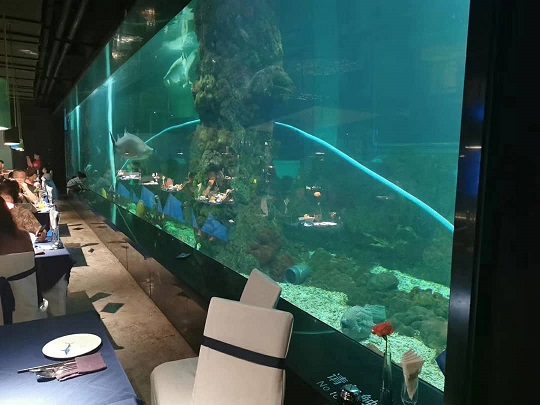 Arte aquática de criação: panorama imersivo de tanque de peixes para restaurantes temáticos