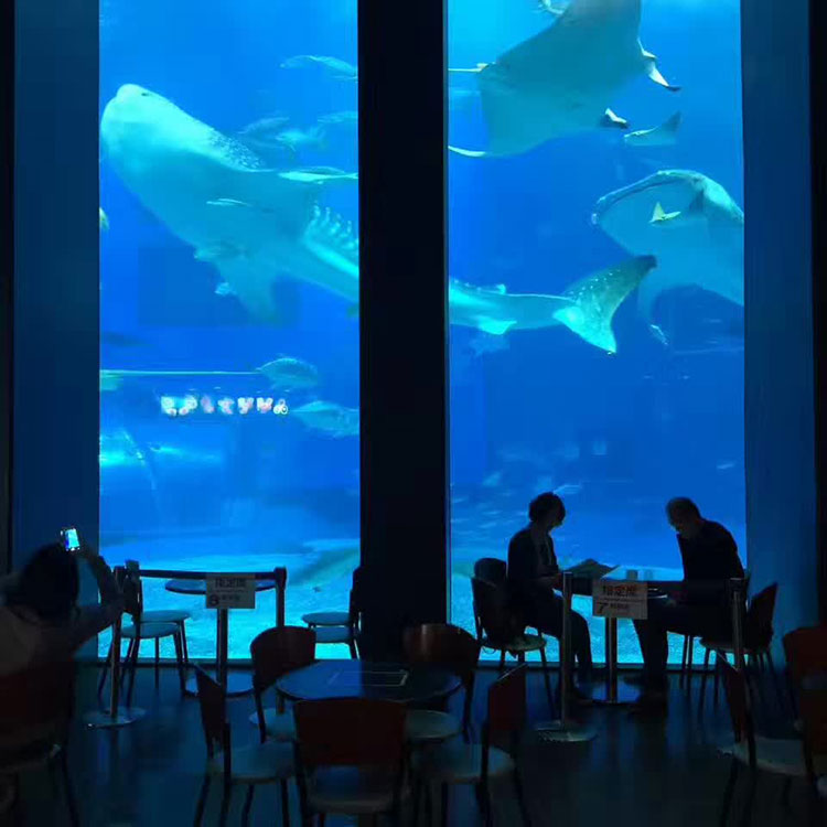 Decoração de restaurante em acrílico transparente